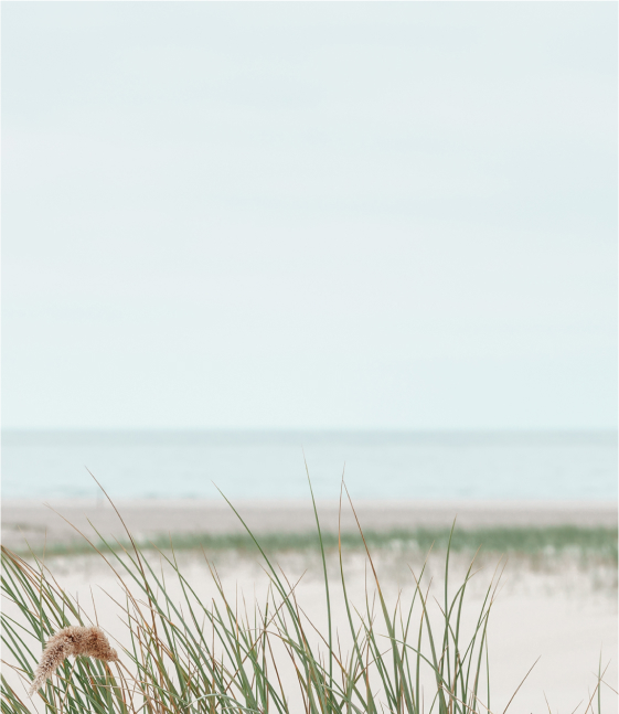 Tall grass in the foreground with a sandy beach and calm sea under an overcast sky in the background.