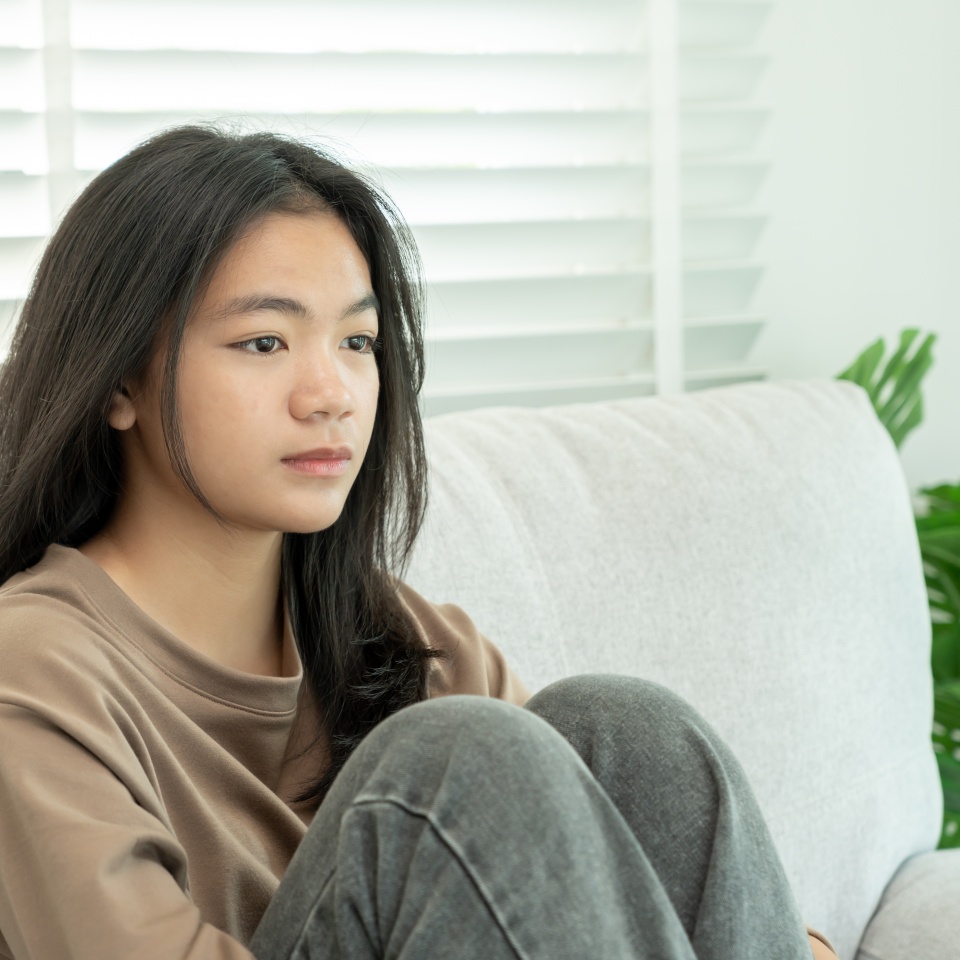 No description metadata found